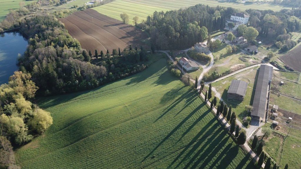 Tenuta Fassia Campi dall'Alto